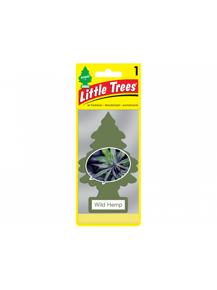 AROMATIZANTES - CAÑAMO 24 UN