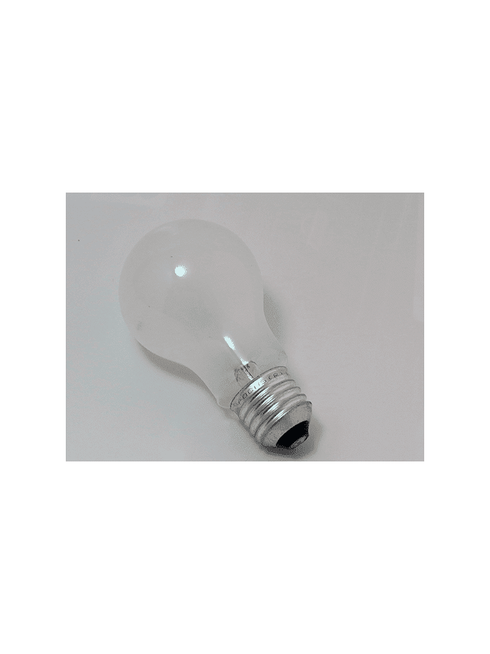 24V 40W A19 E27 PS60 EMPABONADA